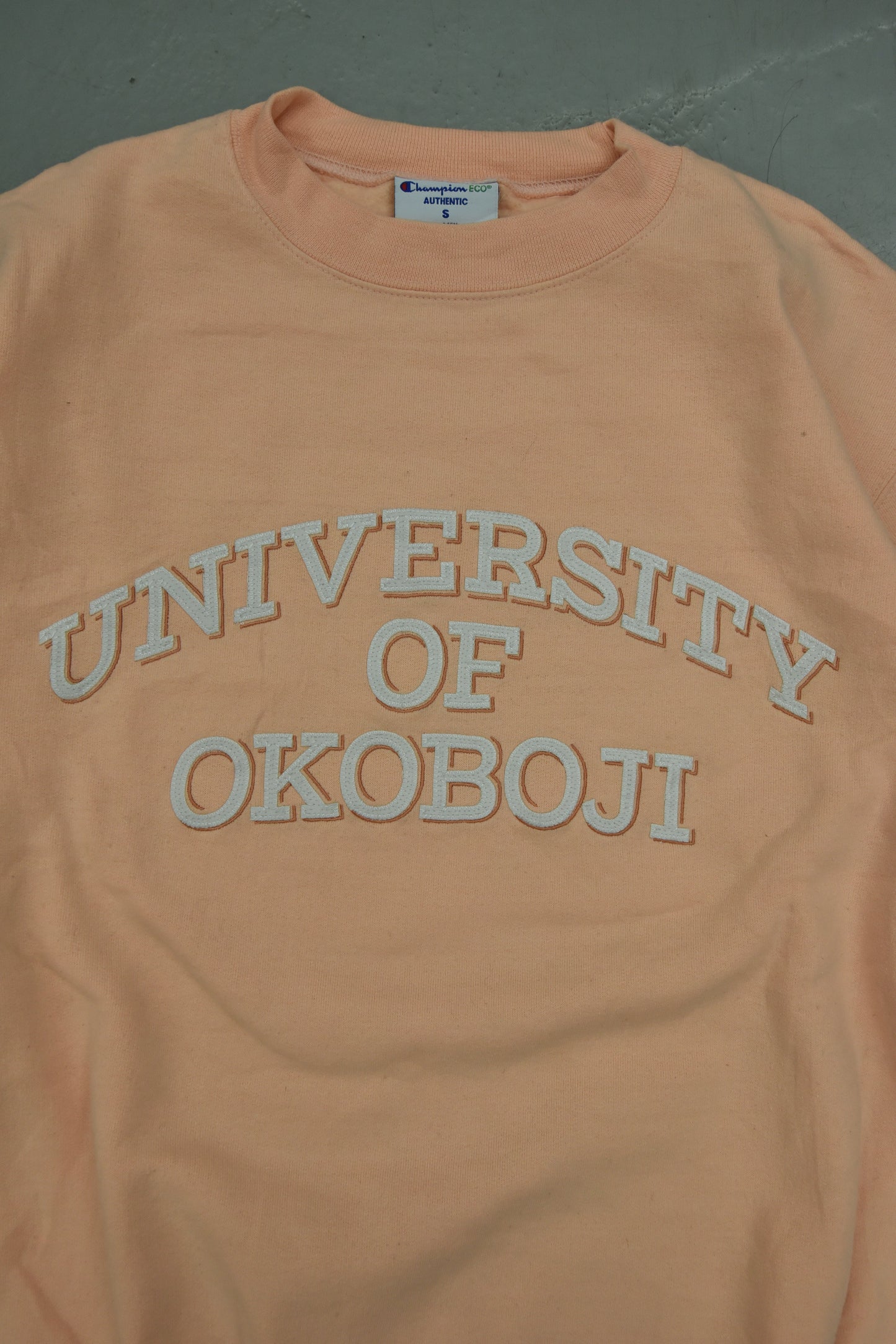 Vintage Champion UOO Pink Sweatshirt / S