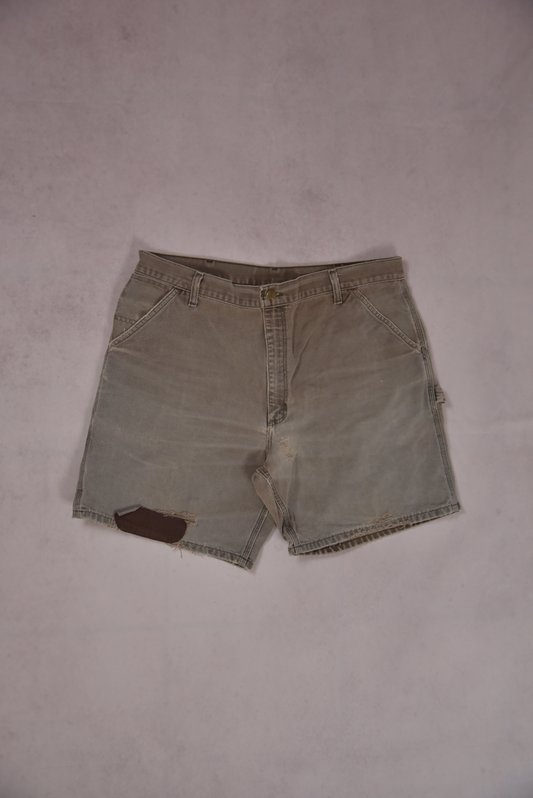 Carhartt Shorts / 40.