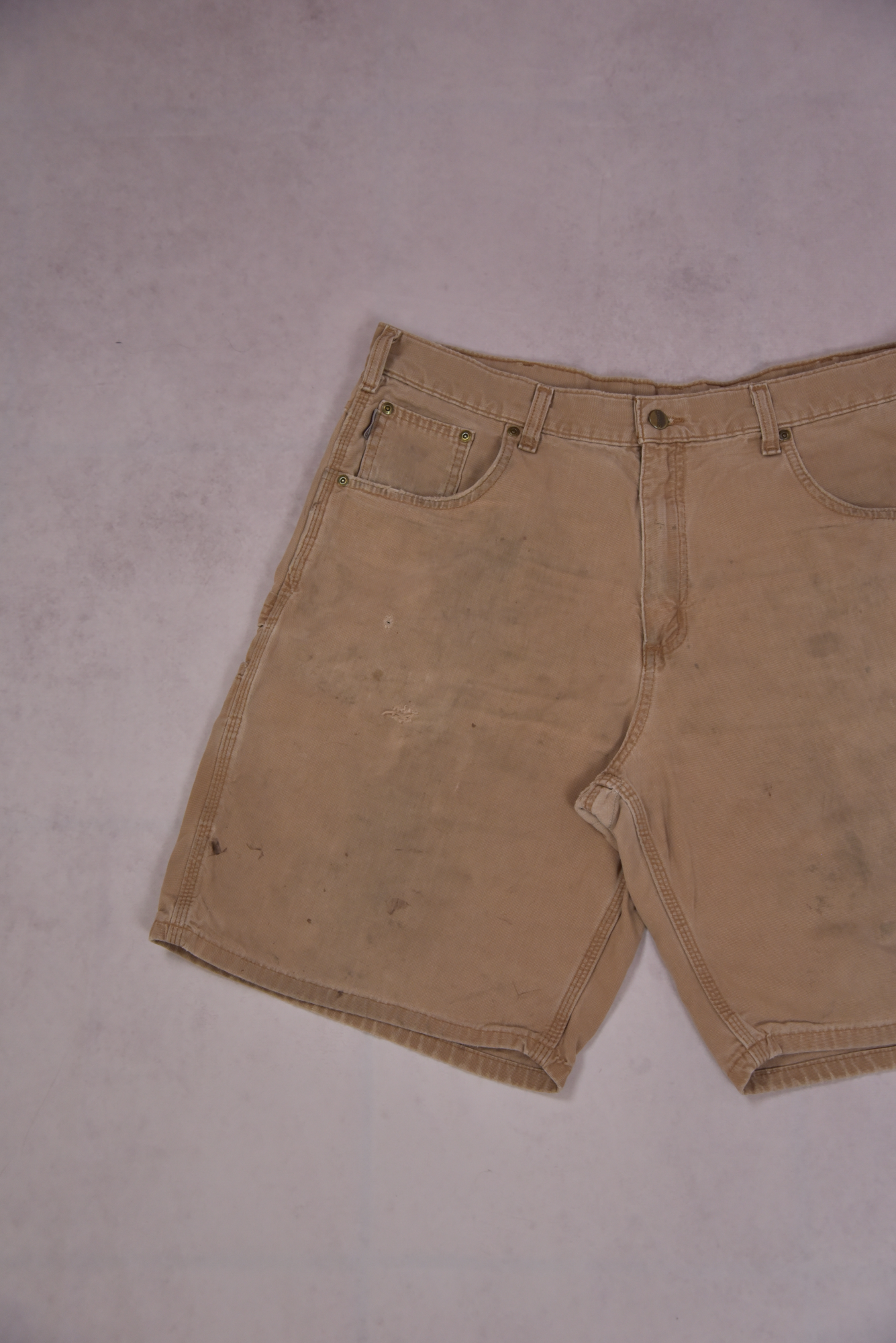 Carhartt Shorts / 38.